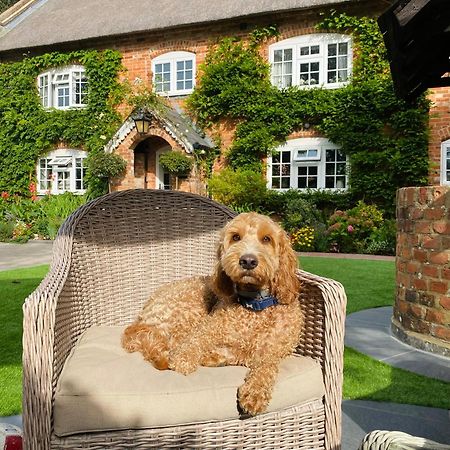 Little Woodside A Beautiful New Forest Self Contained Private Luxury Annexe New Milton Ngoại thất bức ảnh