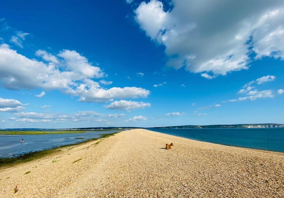 Little Woodside A Beautiful New Forest Self Contained Private Luxury Annexe New Milton Ngoại thất bức ảnh