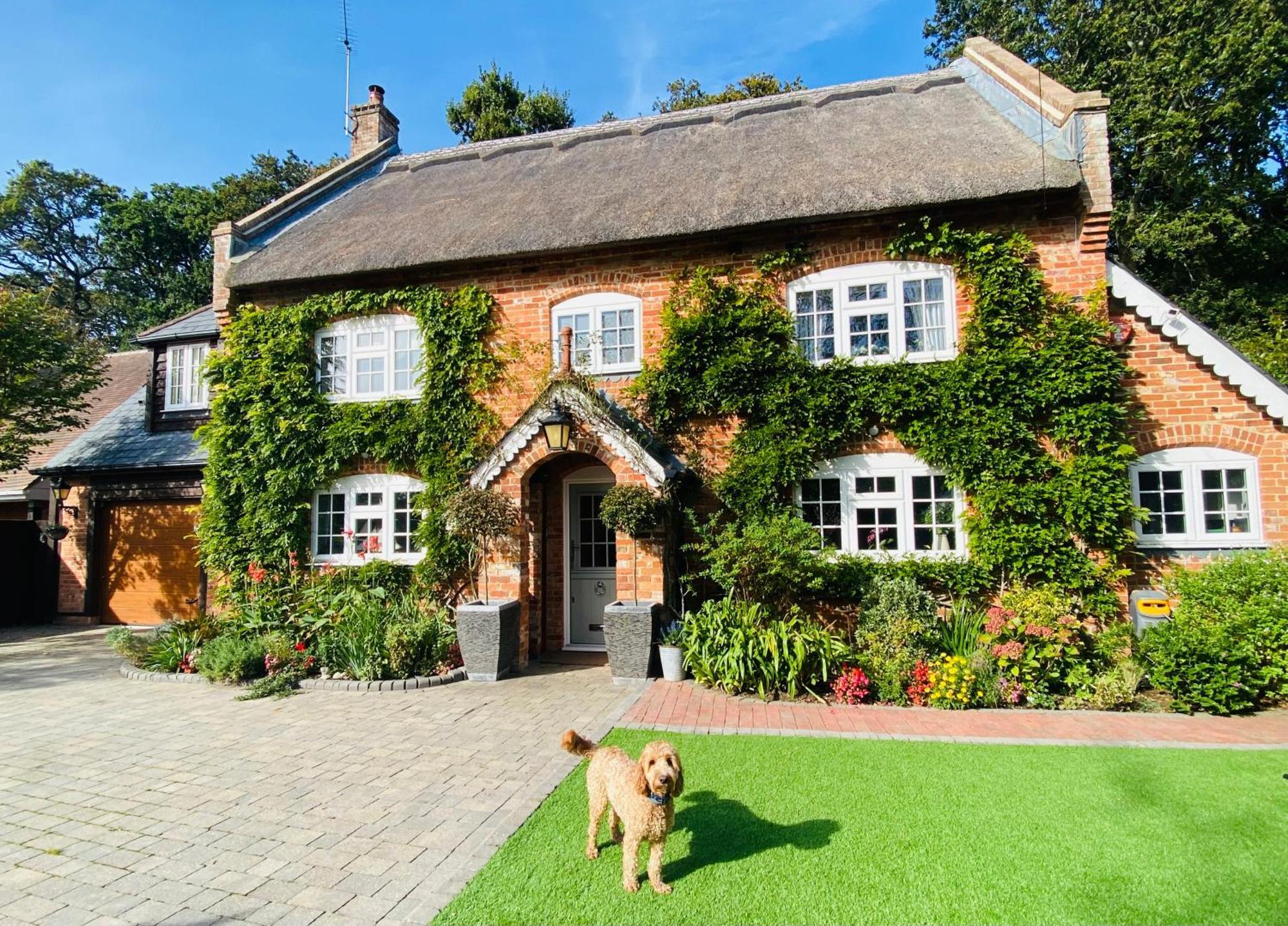Little Woodside A Beautiful New Forest Self Contained Private Luxury Annexe New Milton Ngoại thất bức ảnh