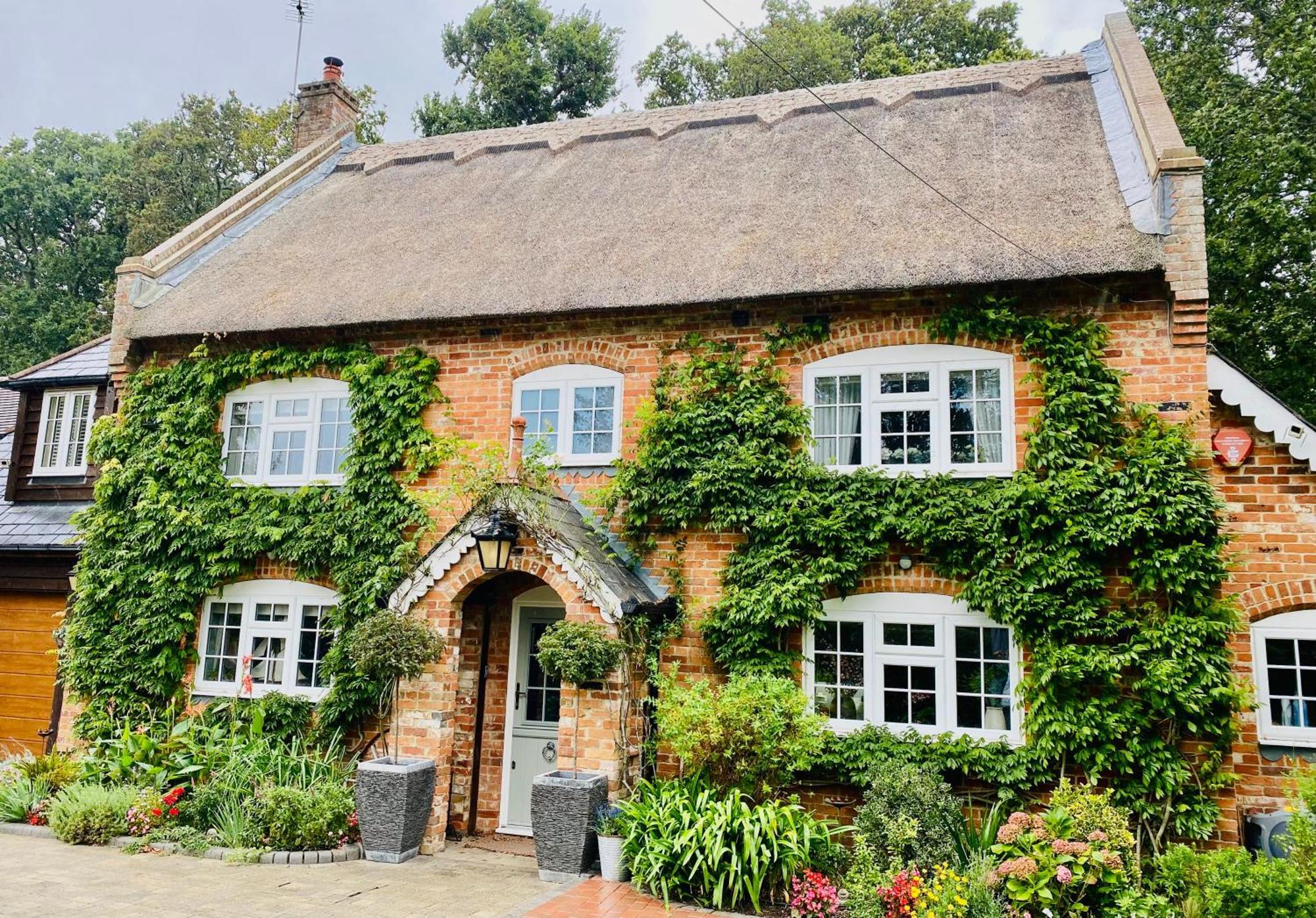 Little Woodside A Beautiful New Forest Self Contained Private Luxury Annexe New Milton Ngoại thất bức ảnh