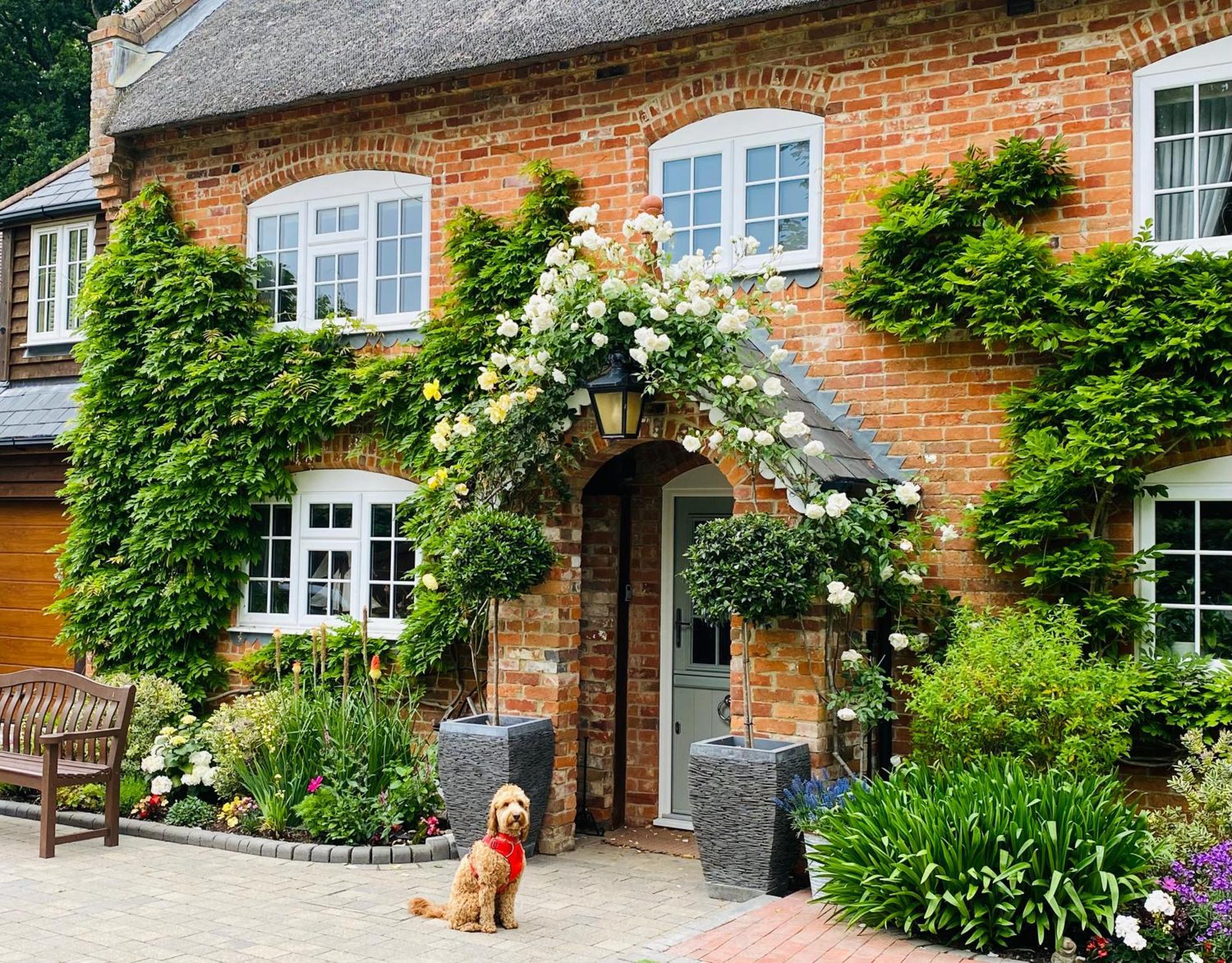 Little Woodside A Beautiful New Forest Self Contained Private Luxury Annexe New Milton Ngoại thất bức ảnh