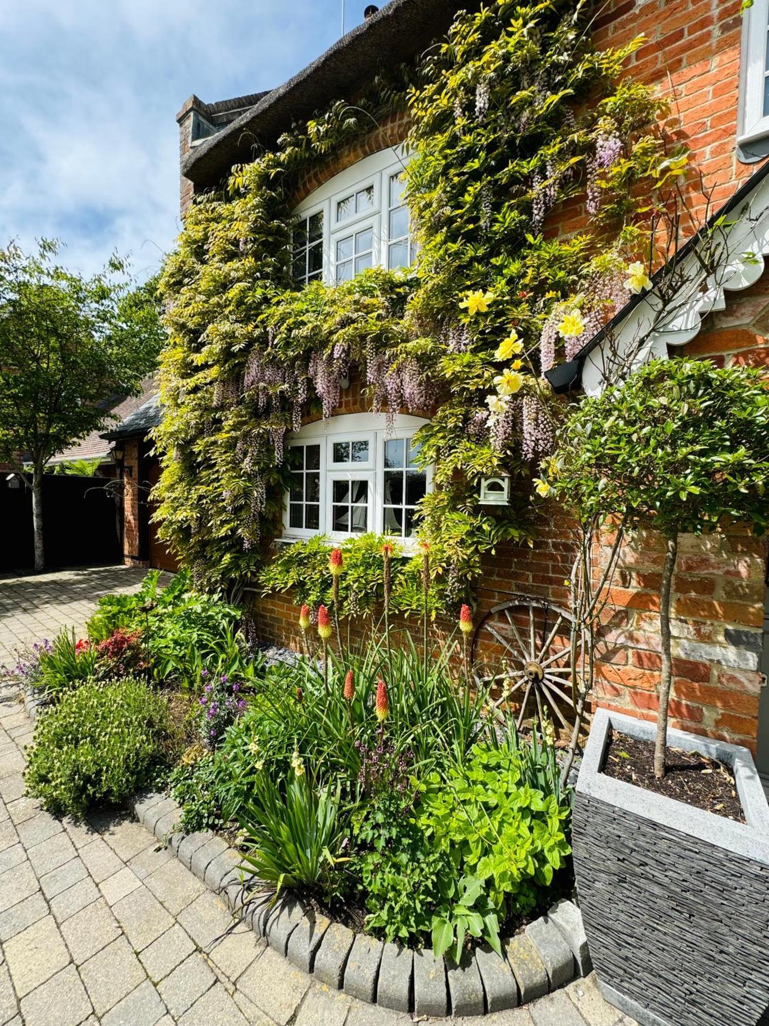 Little Woodside A Beautiful New Forest Self Contained Private Luxury Annexe New Milton Ngoại thất bức ảnh