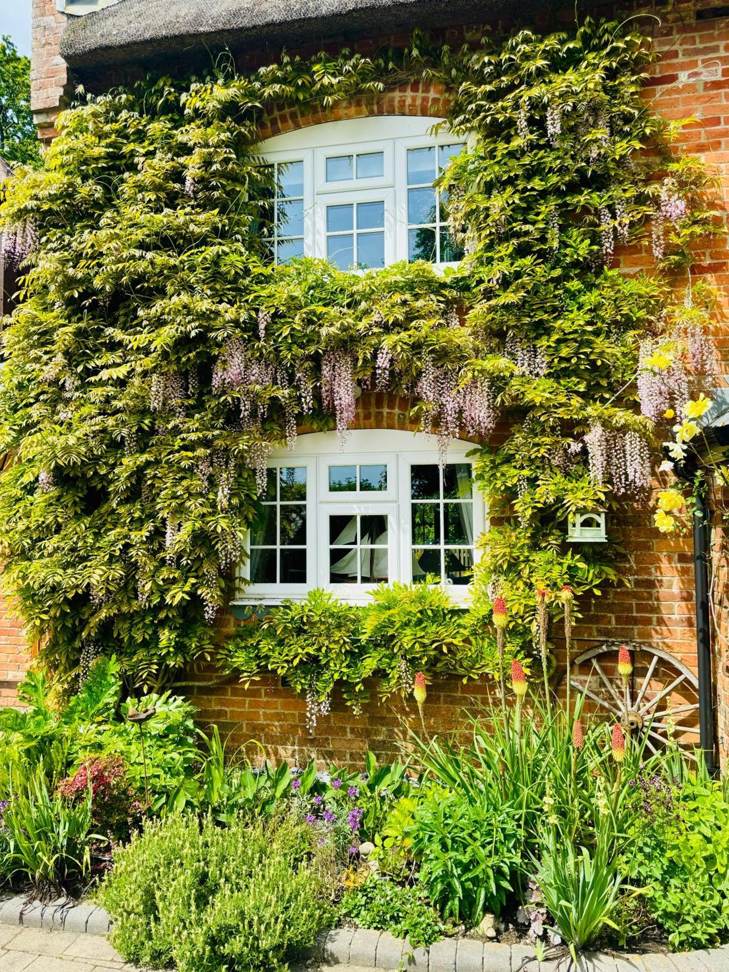 Little Woodside A Beautiful New Forest Self Contained Private Luxury Annexe New Milton Ngoại thất bức ảnh