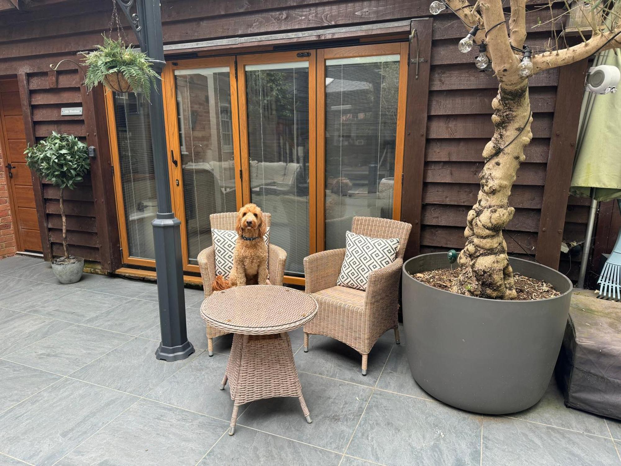 Little Woodside A Beautiful New Forest Self Contained Private Luxury Annexe New Milton Ngoại thất bức ảnh